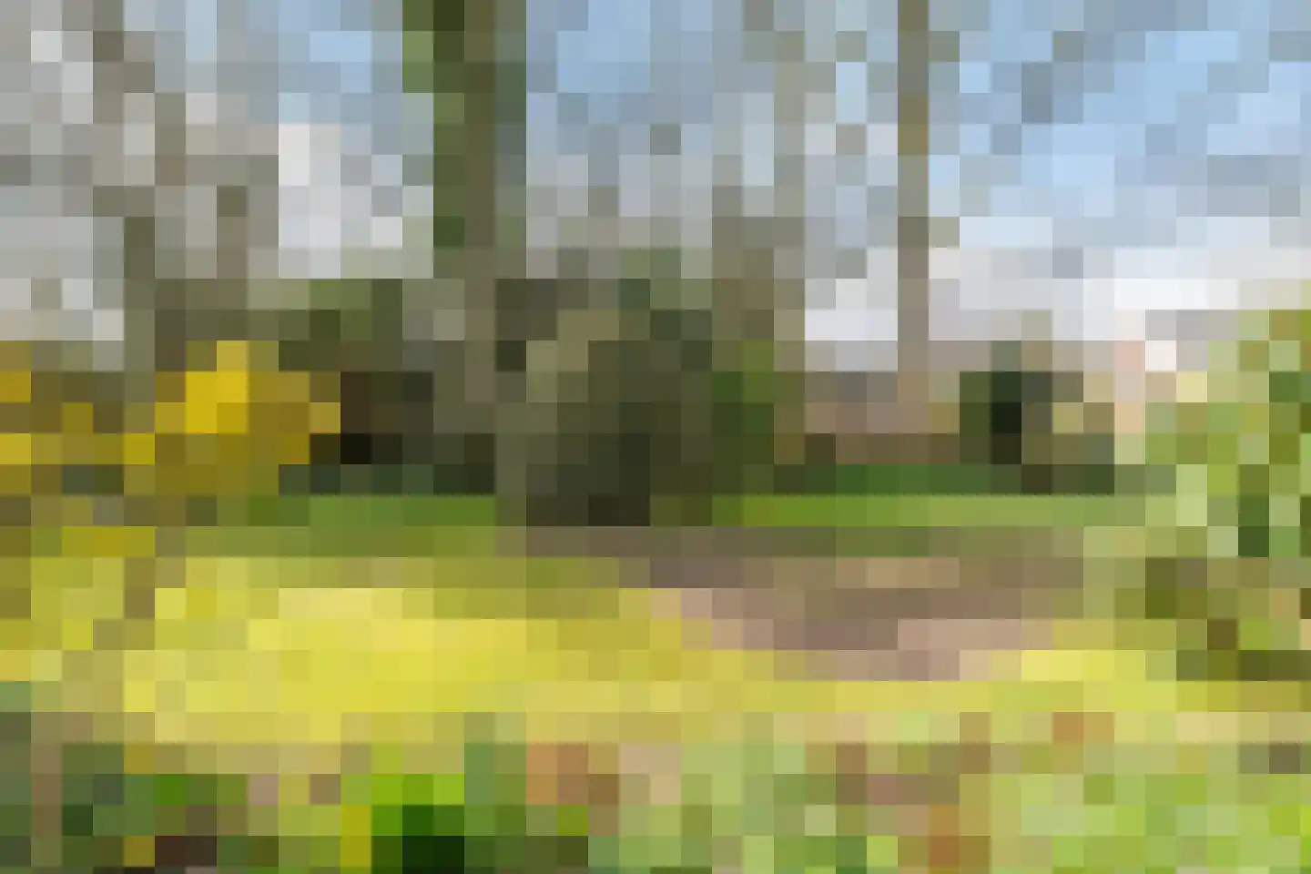 Tussendijken 4 Burgum thumbnail 50