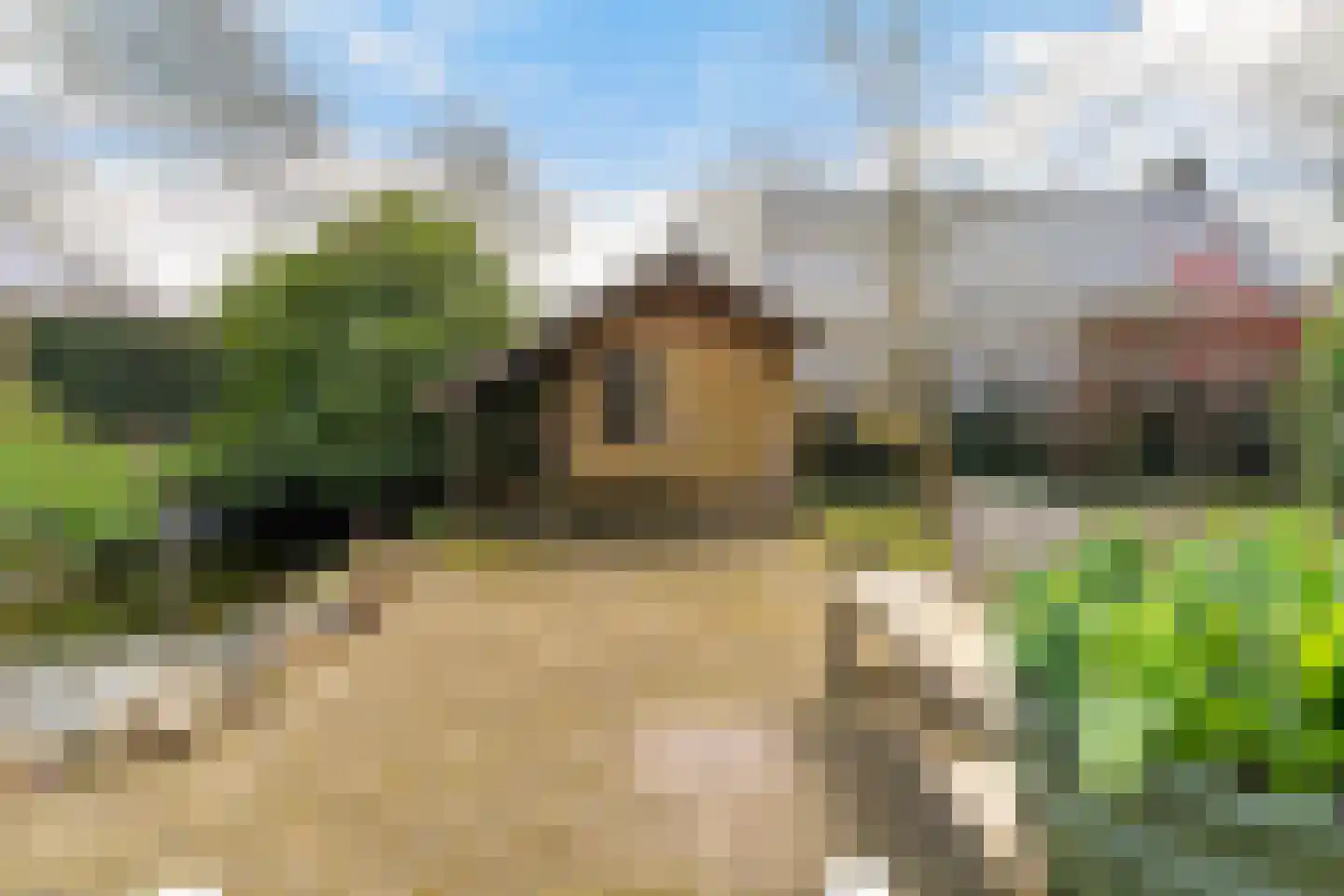 Tussendijken 4 Burgum thumbnail 55