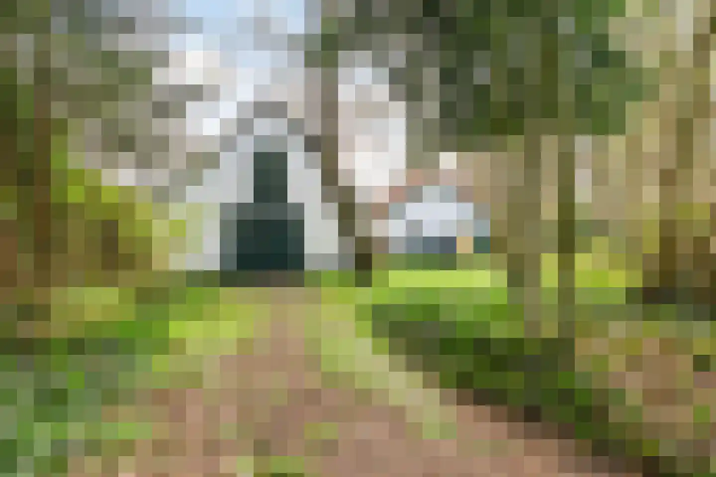 Tussendijken 4 Burgum thumbnail 56