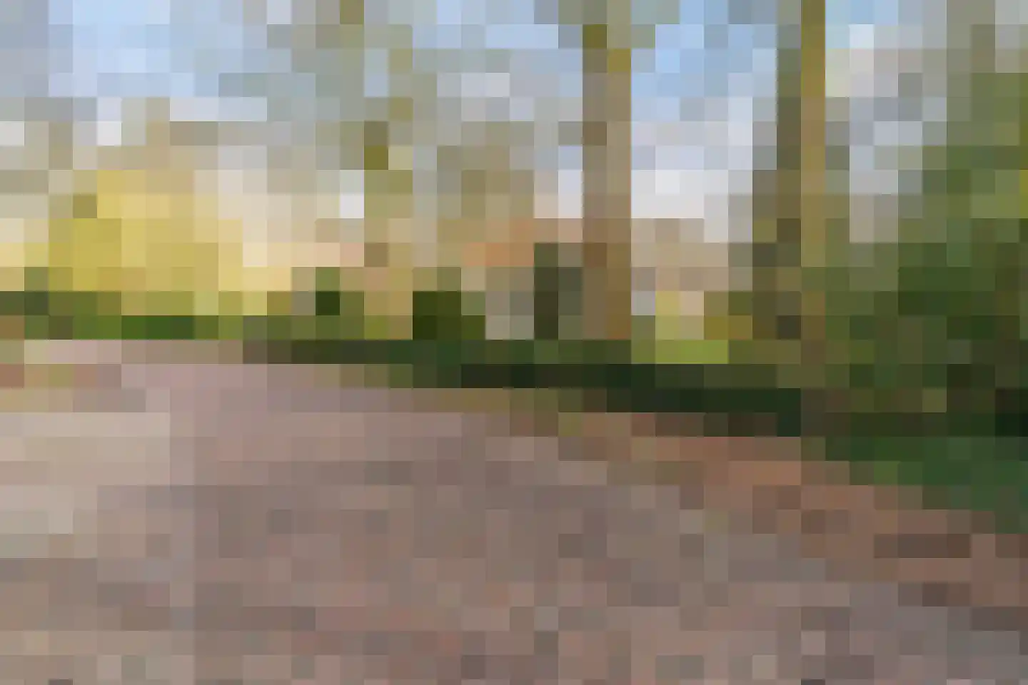 Tussendijken 4 Burgum thumbnail 6