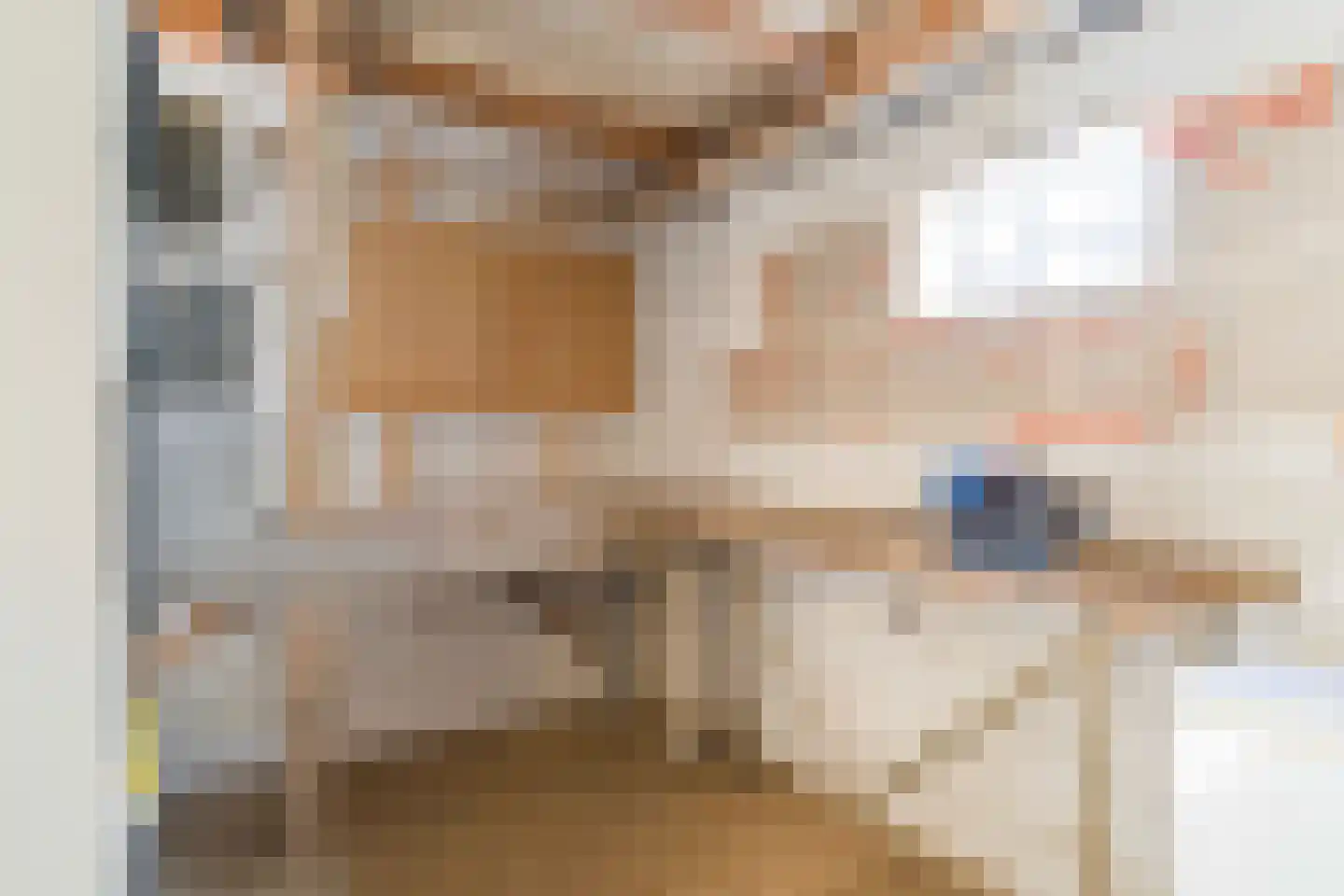 Tussendijken 4 Burgum thumbnail 61