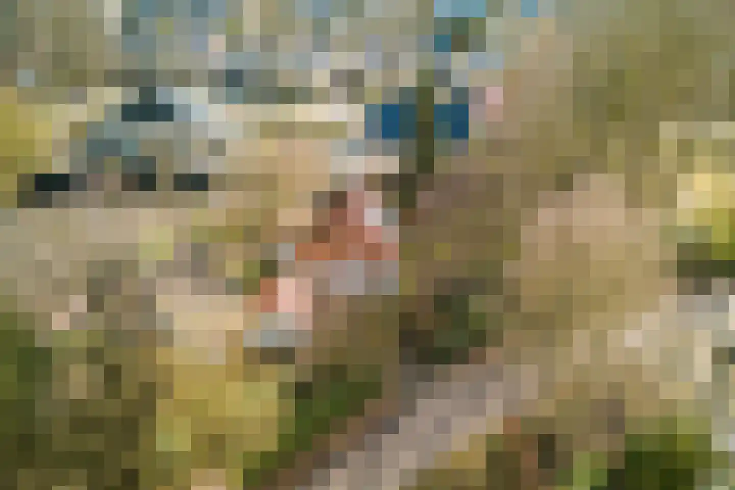 Tussendijken 4 Burgum thumbnail 76
