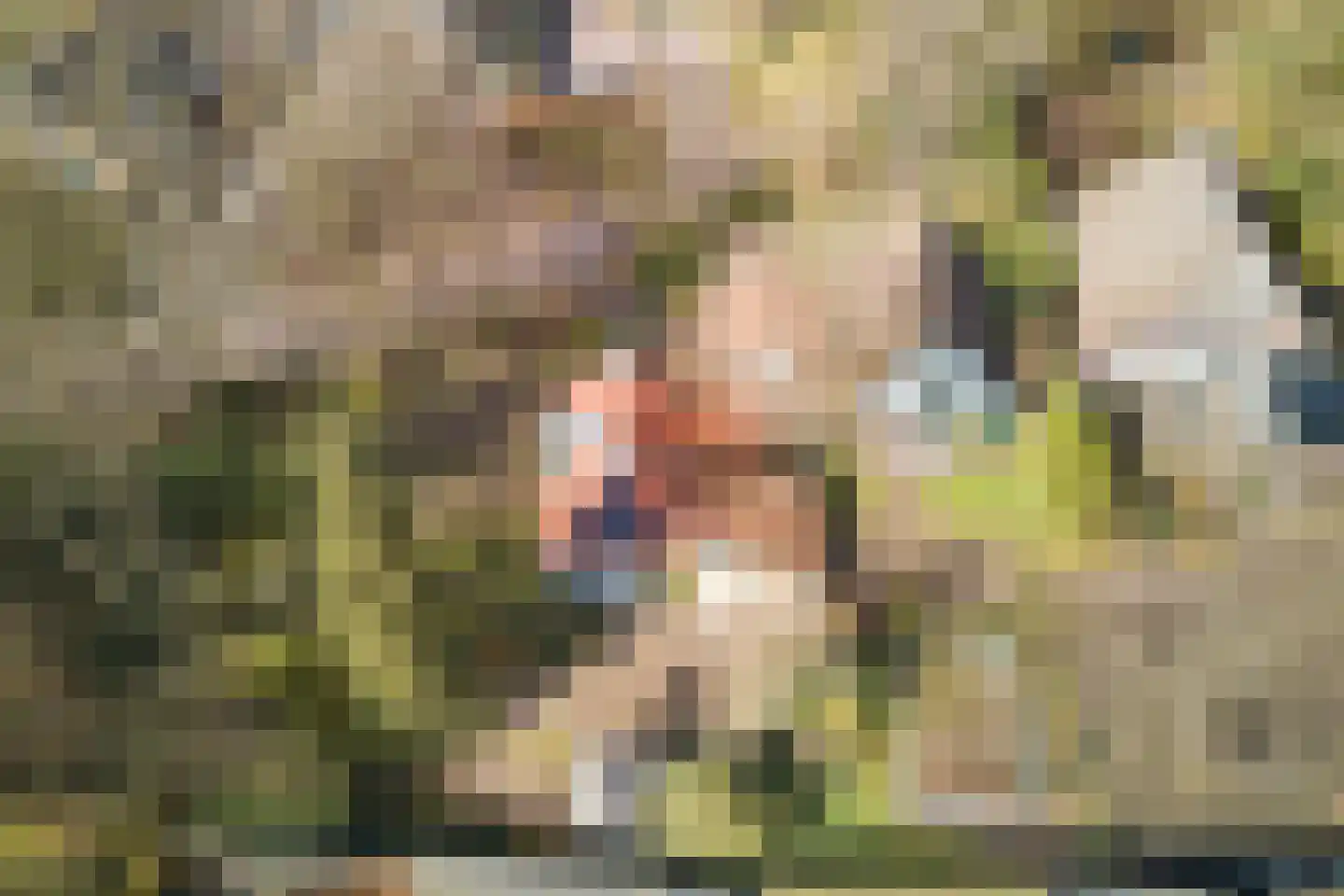 Tussendijken 4 Burgum thumbnail 77