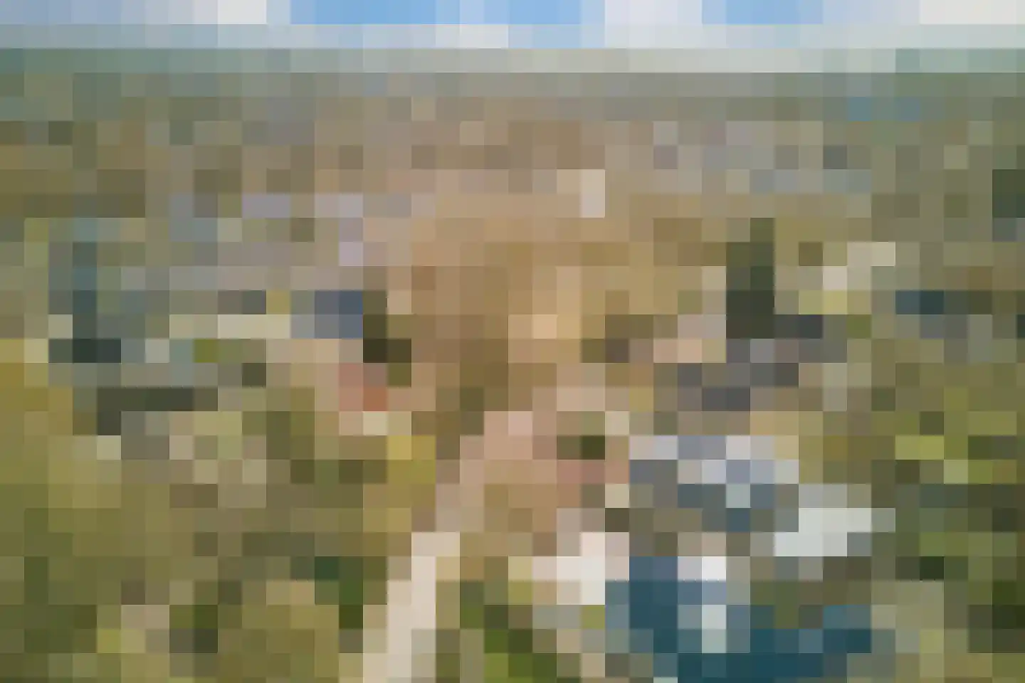 Tussendijken 4 Burgum thumbnail 79
