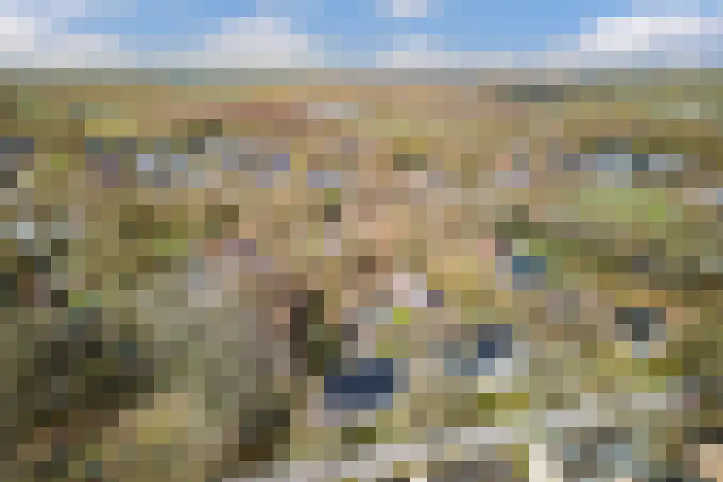Tussendijken 4 Burgum thumbnail 80