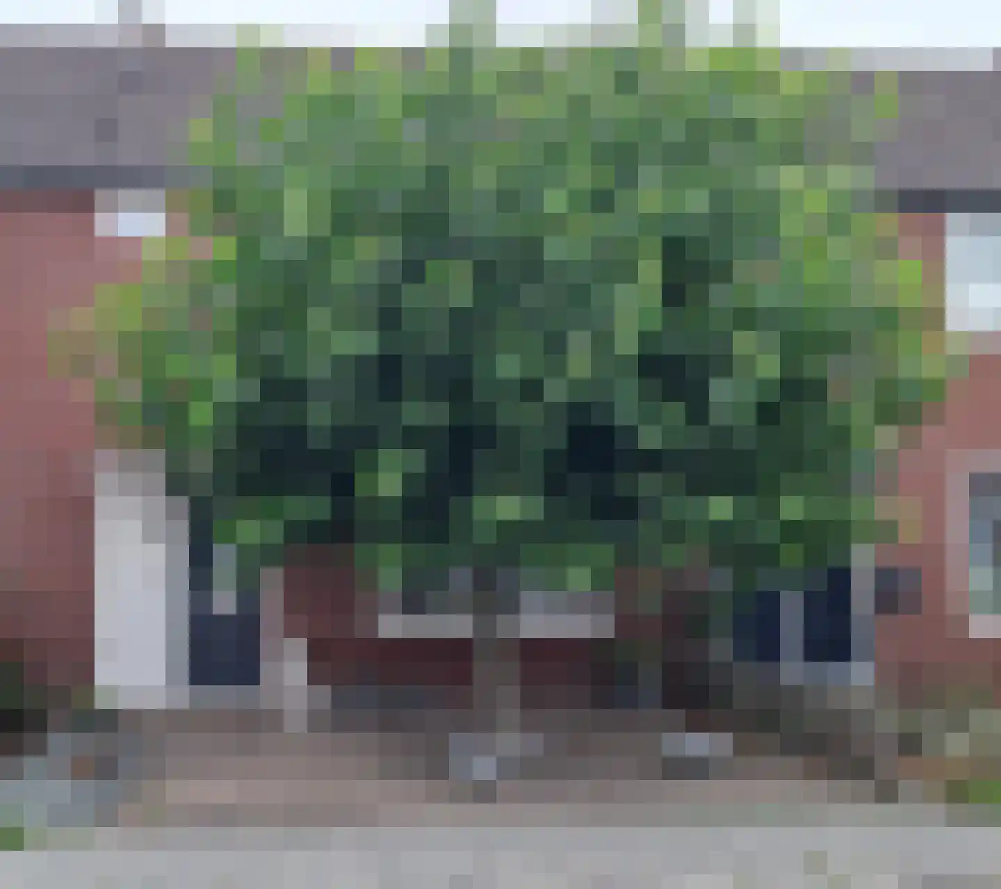 Tussenkamp 11 Stadskanaal thumbnail 31