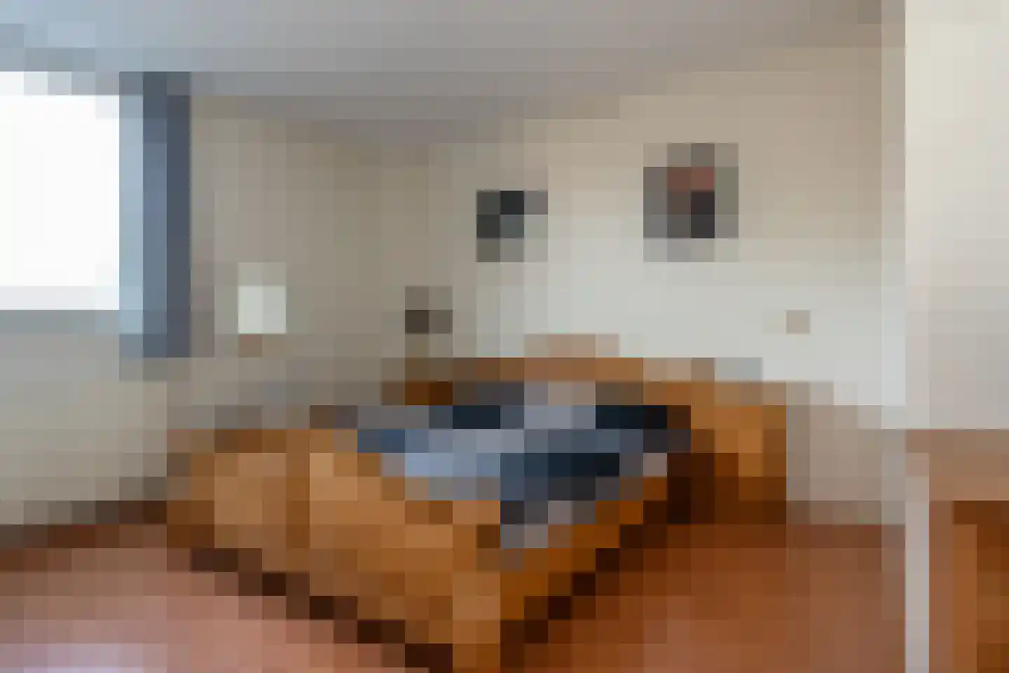 Tussenkamp 11 Stadskanaal thumbnail 5