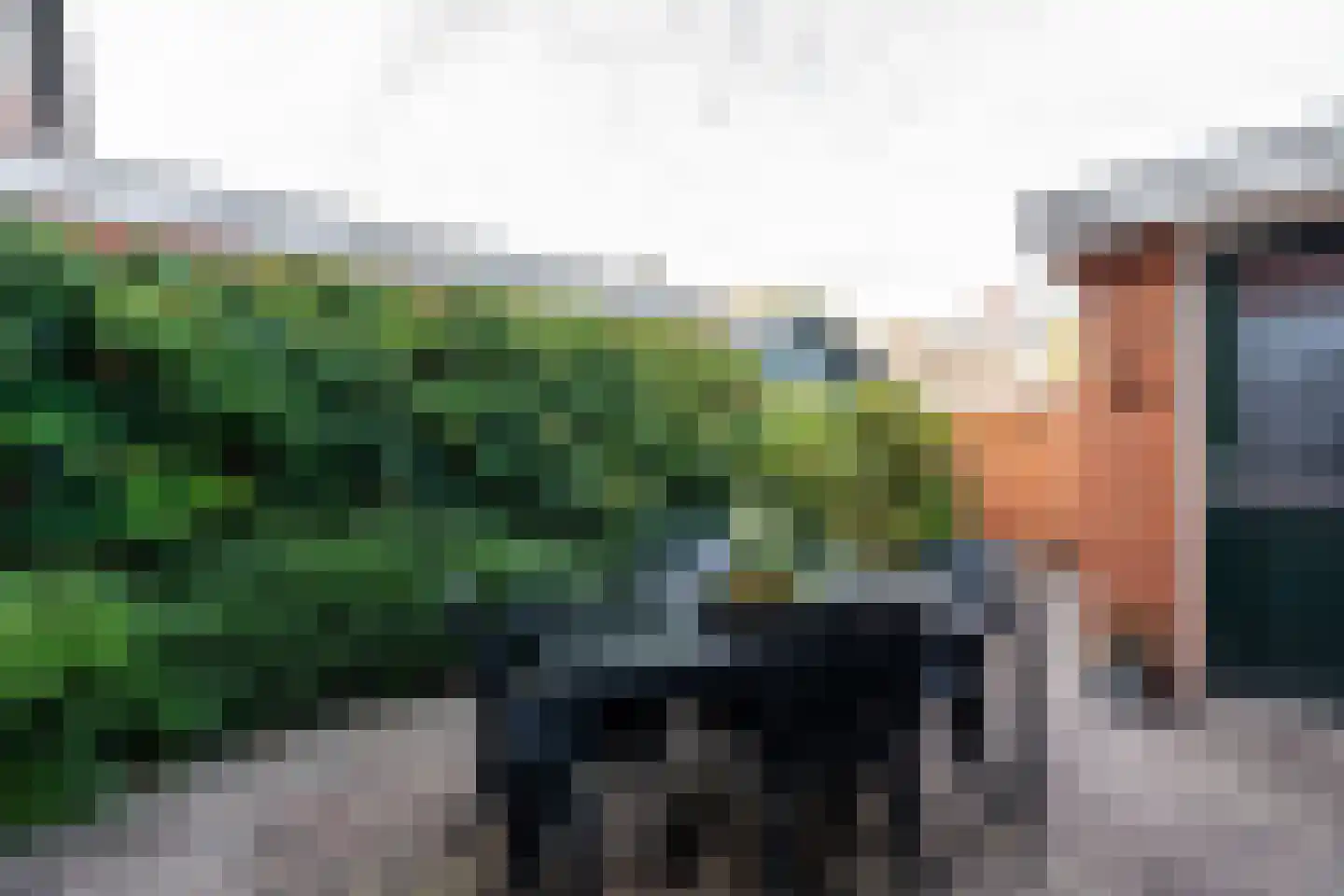 Tussenkamp 11 Stadskanaal thumbnail 6