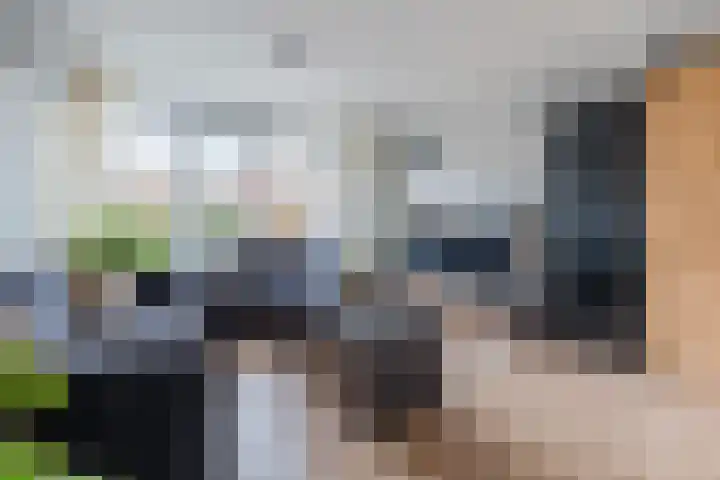 Tussenkamp 20 Stadskanaal thumbnail 10