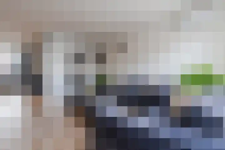 Tussenkamp 20 Stadskanaal thumbnail 11