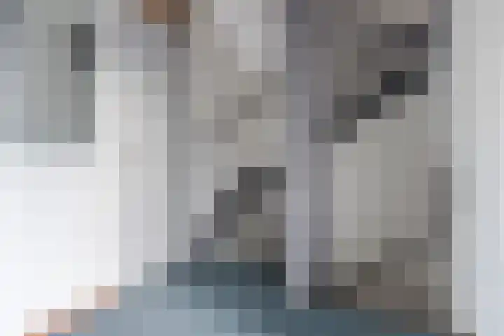 Tussenkamp 20 Stadskanaal thumbnail 22