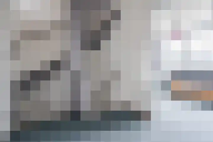 Tussenkamp 20 Stadskanaal thumbnail 23