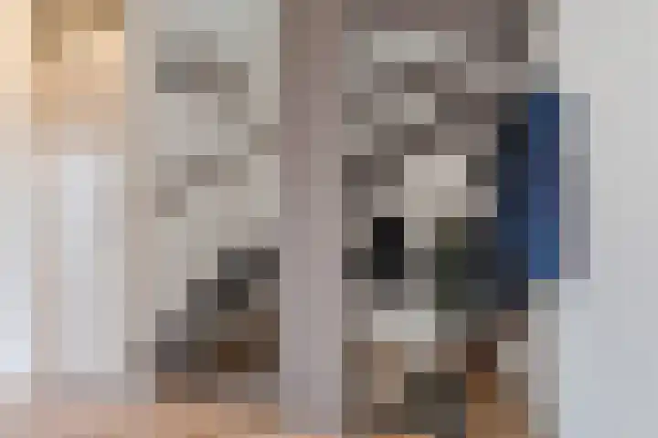 Tussenkamp 20 Stadskanaal thumbnail 7