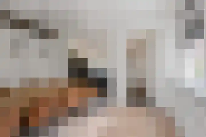 Tussenklappen Oostzijde 4 Muntendam thumbnail 16