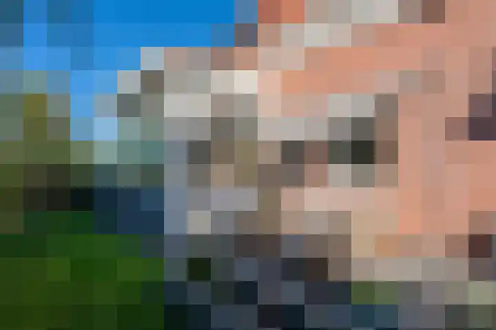 Tussenklappen Oostzijde 4 Muntendam thumbnail 49