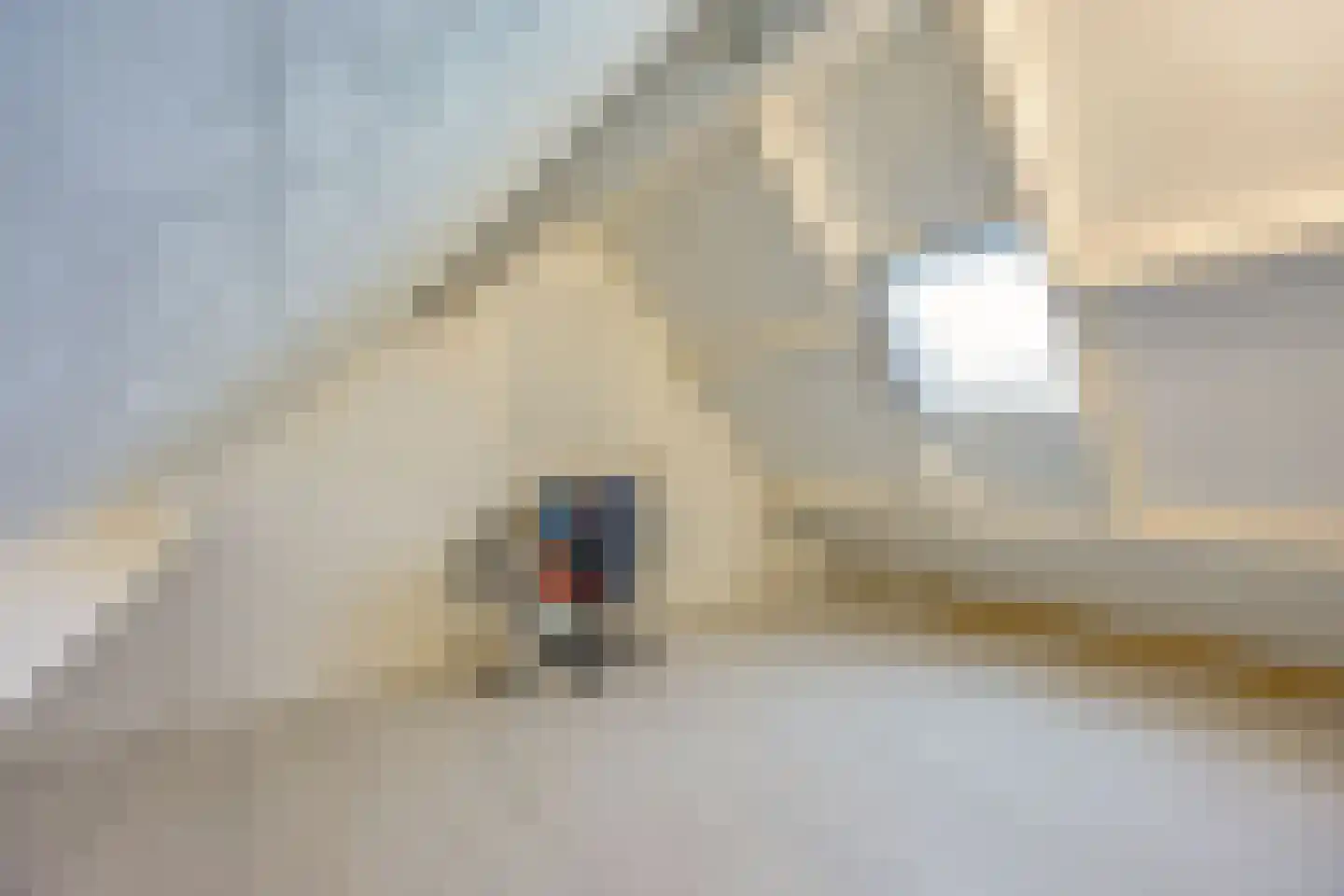 Tussenkoelen 1 Haren Gn thumbnail 30