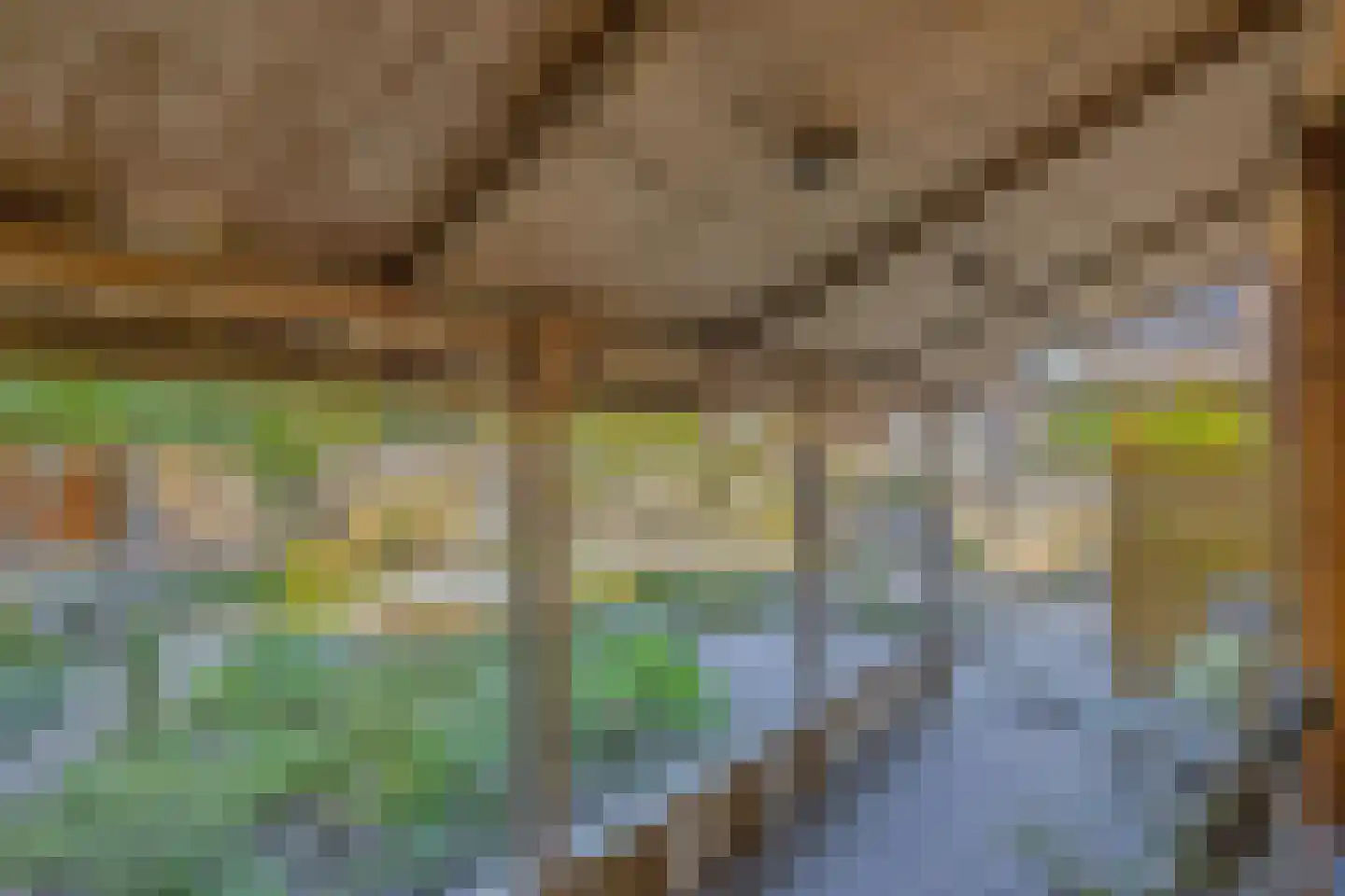 Tussenkoelen 1 Haren Gn thumbnail 34