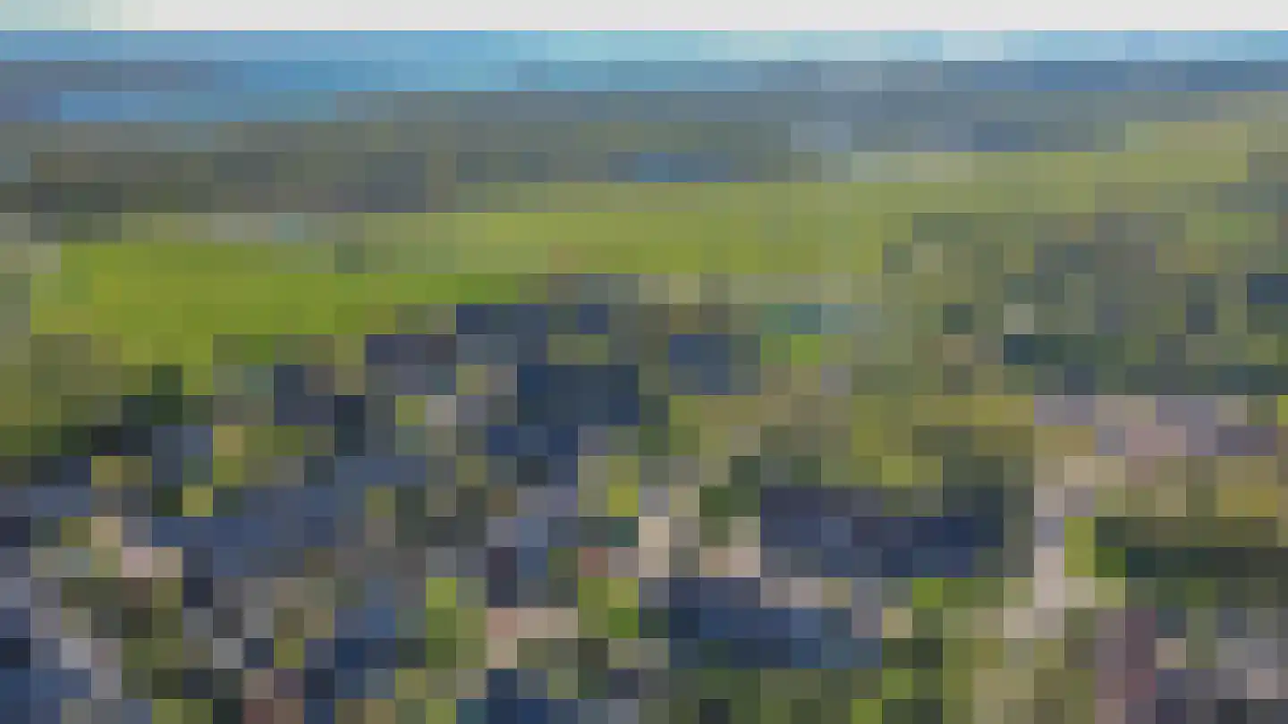 Tussenkoelen 1 Haren Gn thumbnail 55