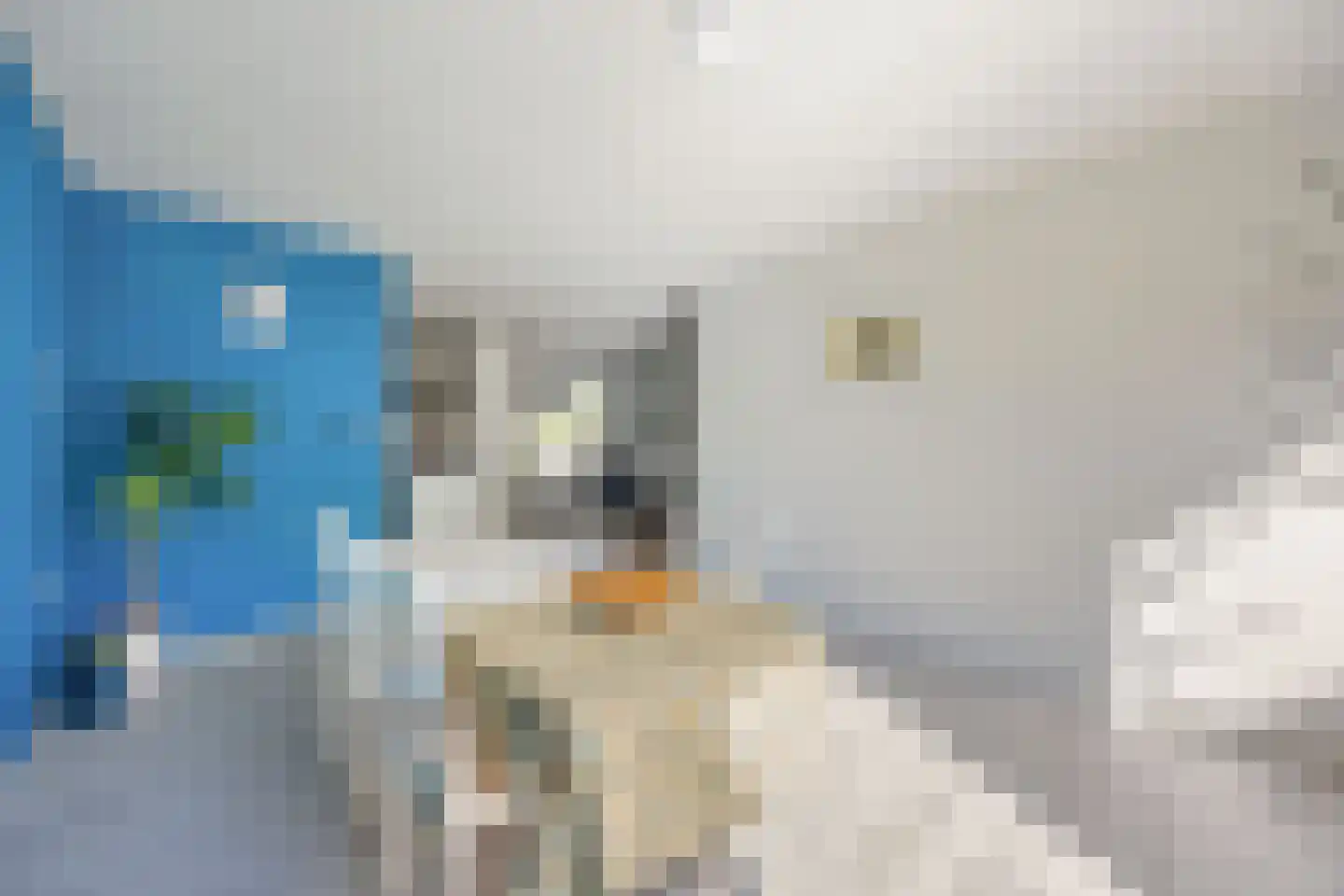 Tussenkoelen 1 Haren Gn thumbnail 9