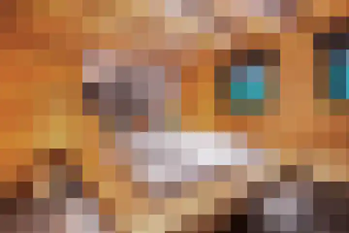 Tussenlaan 2 Norg thumbnail 16