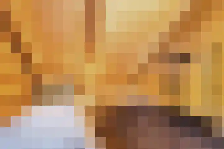 Tussenlaan 2 Norg thumbnail 17