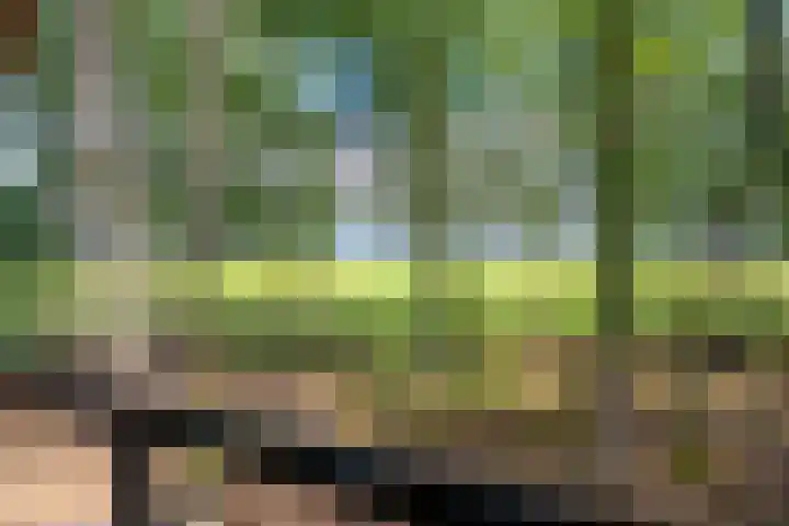 Tussenlaan 2 Norg foto 2