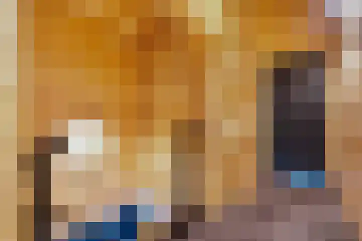 Tussenlaan 2 Norg thumbnail 22