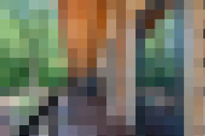 Tussenlaan 2 Norg thumbnail 28