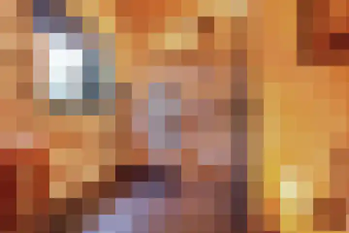 Tussenlaan 2 Norg thumbnail 29