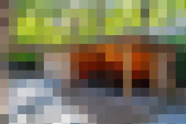 Tussenlaan 2 Norg foto 3
