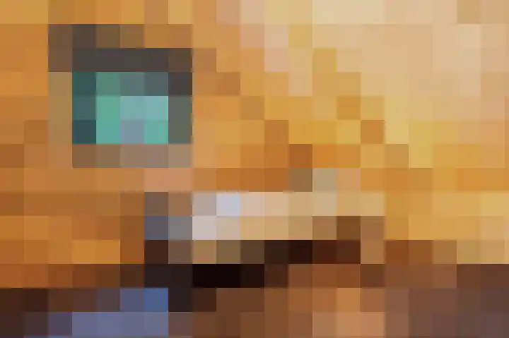 Tussenlaan 2 Norg thumbnail 30