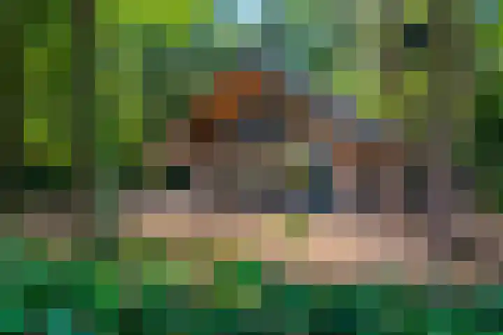 Tussenlaan 2 Norg thumbnail 31