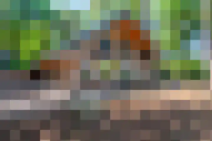 Tussenlaan 2 Norg thumbnail 32