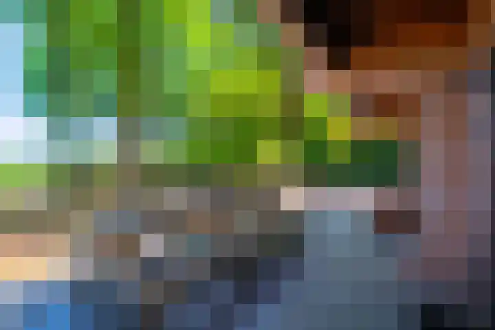 Tussenlaan 2 Norg thumbnail 33