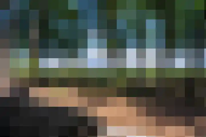 Tussenlaan 2 Norg thumbnail 34