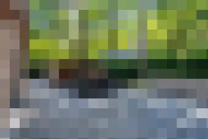 Tussenlaan 2 Norg thumbnail 35