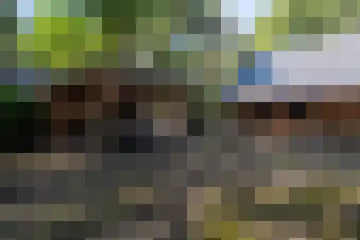 Tussenlaan 2 Norg thumbnail 37
