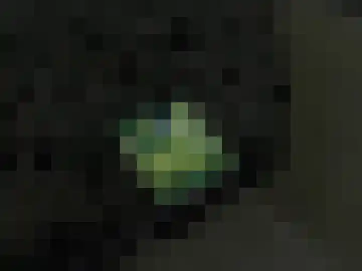 Tussenlaan 2 Norg thumbnail 40