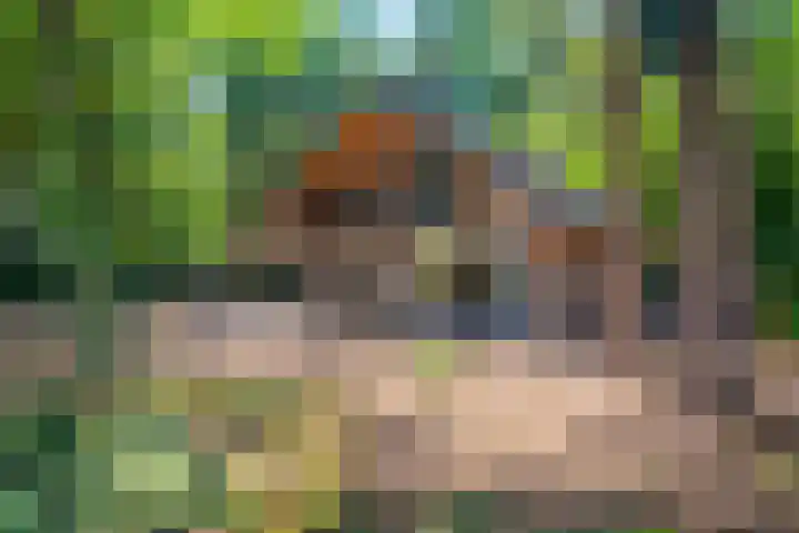 Tussenlaan 2 Norg thumbnail 6