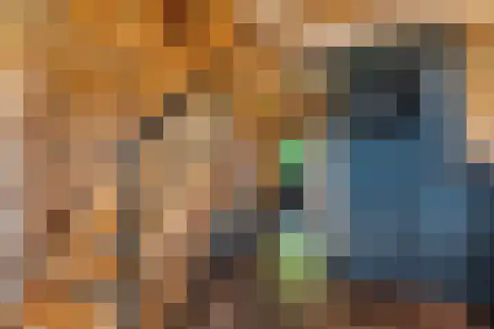 Tussenlaan 2 Norg thumbnail 9