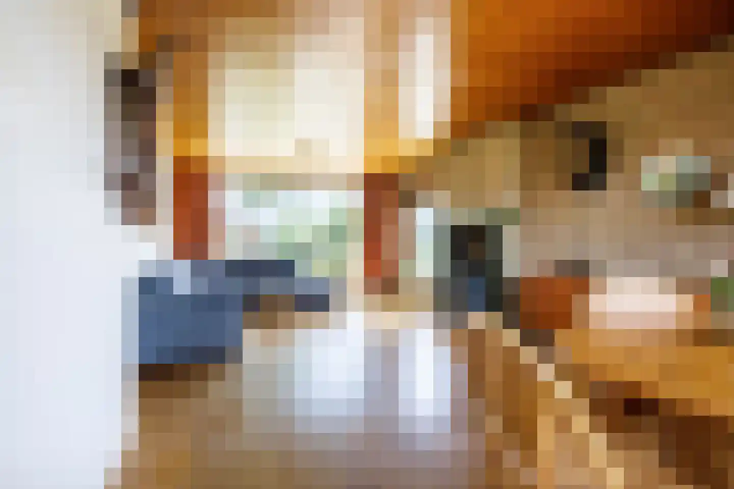 Tussenlanen 14 a Bergambacht thumbnail 10