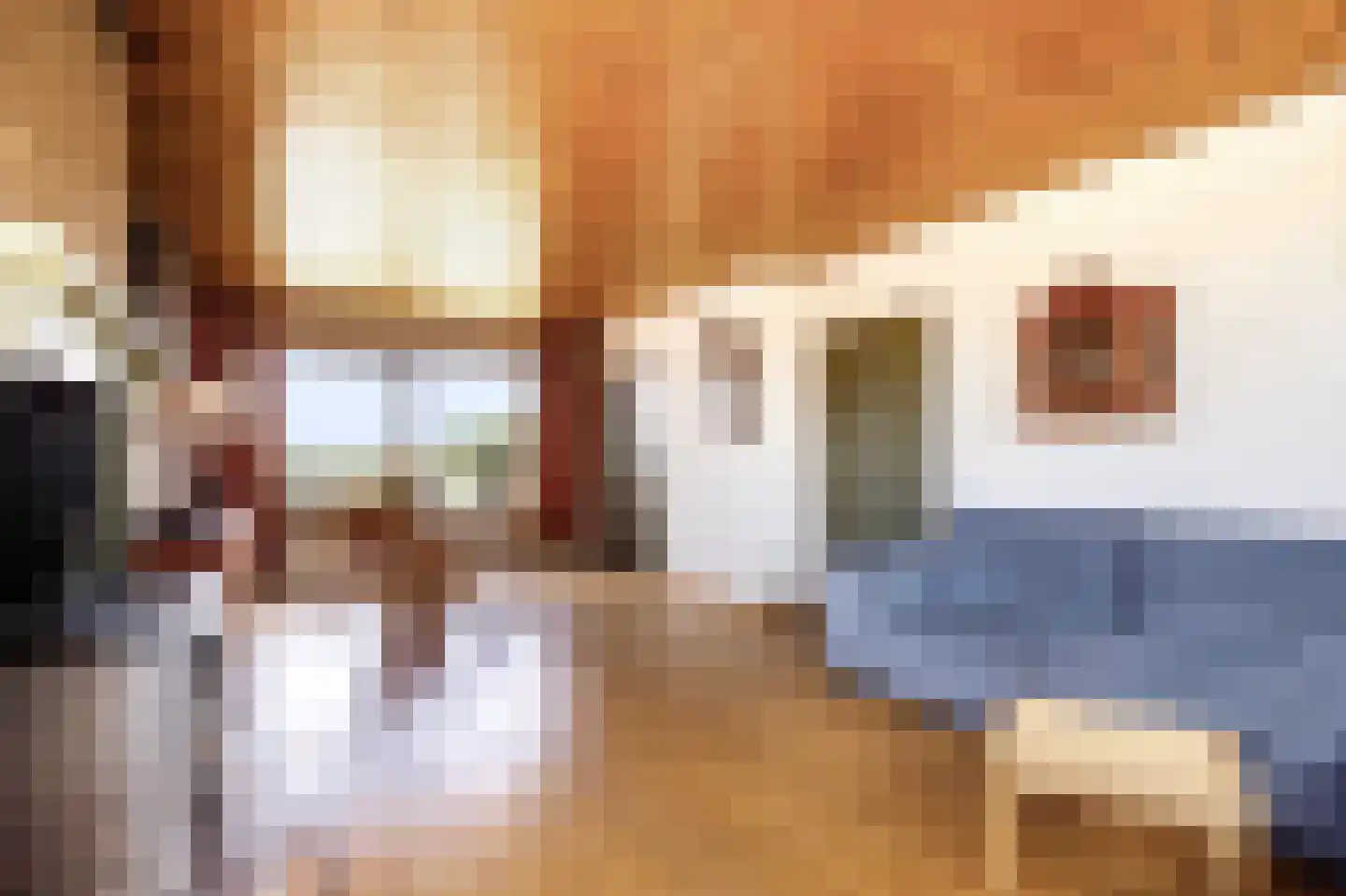 Tussenlanen 14 a Bergambacht thumbnail 12