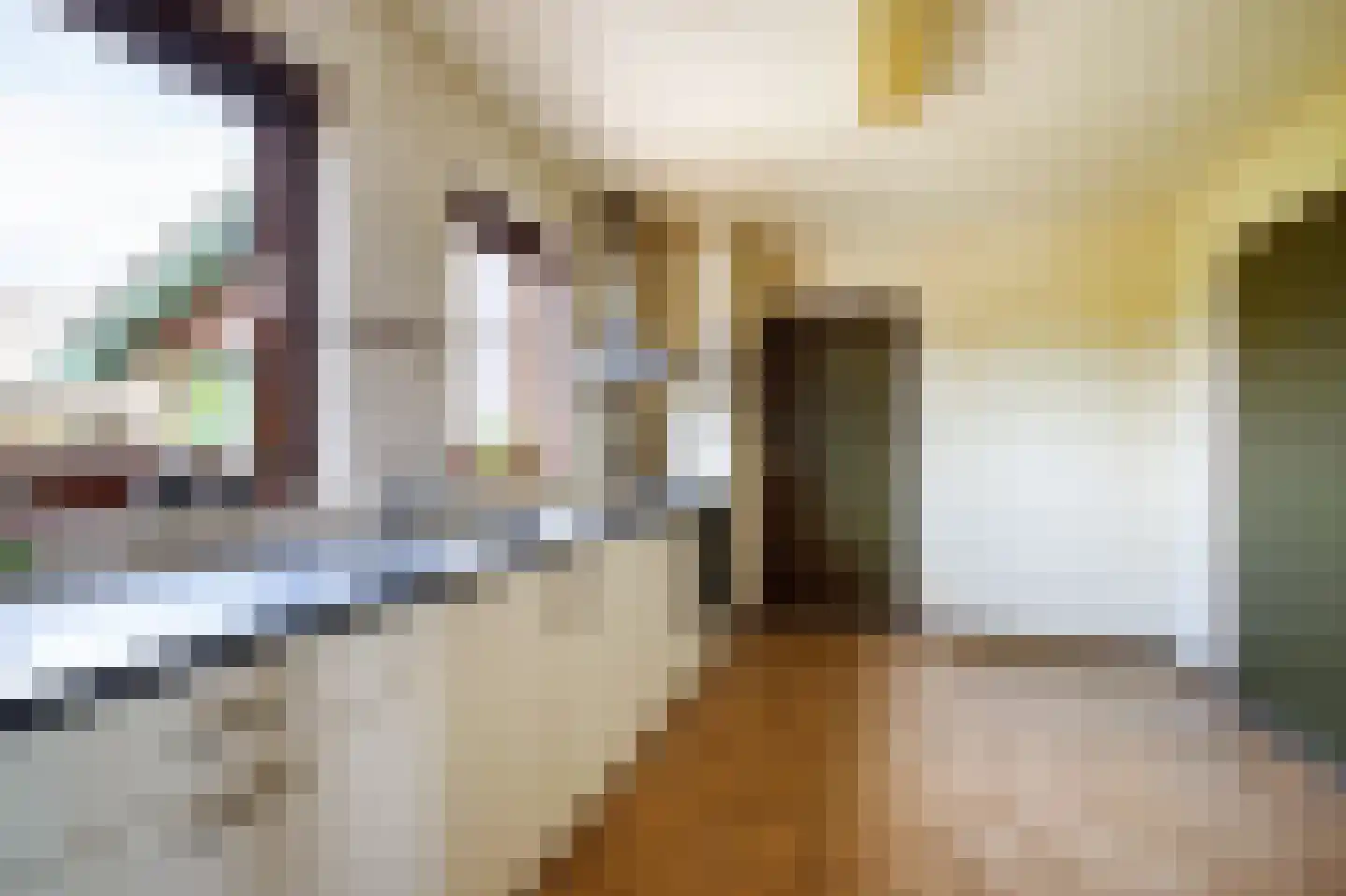 Tussenlanen 14 a Bergambacht thumbnail 15