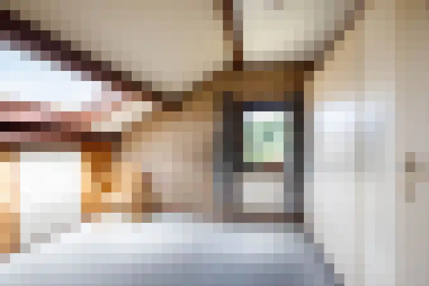 Tussenlanen 14 a Bergambacht thumbnail 27