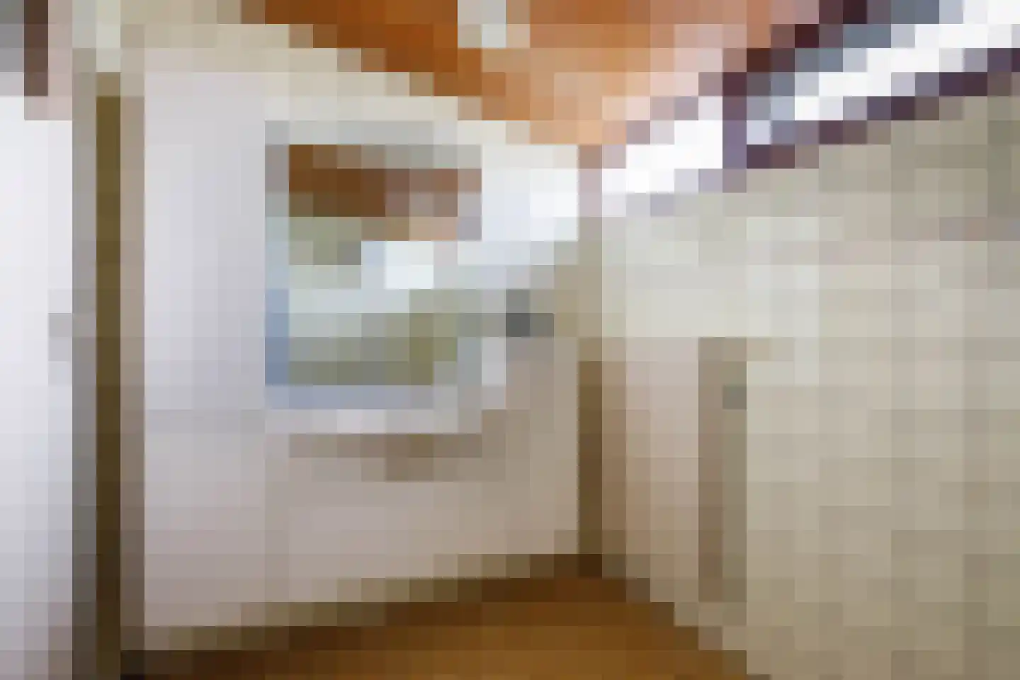 Tussenlanen 14 a Bergambacht thumbnail 30
