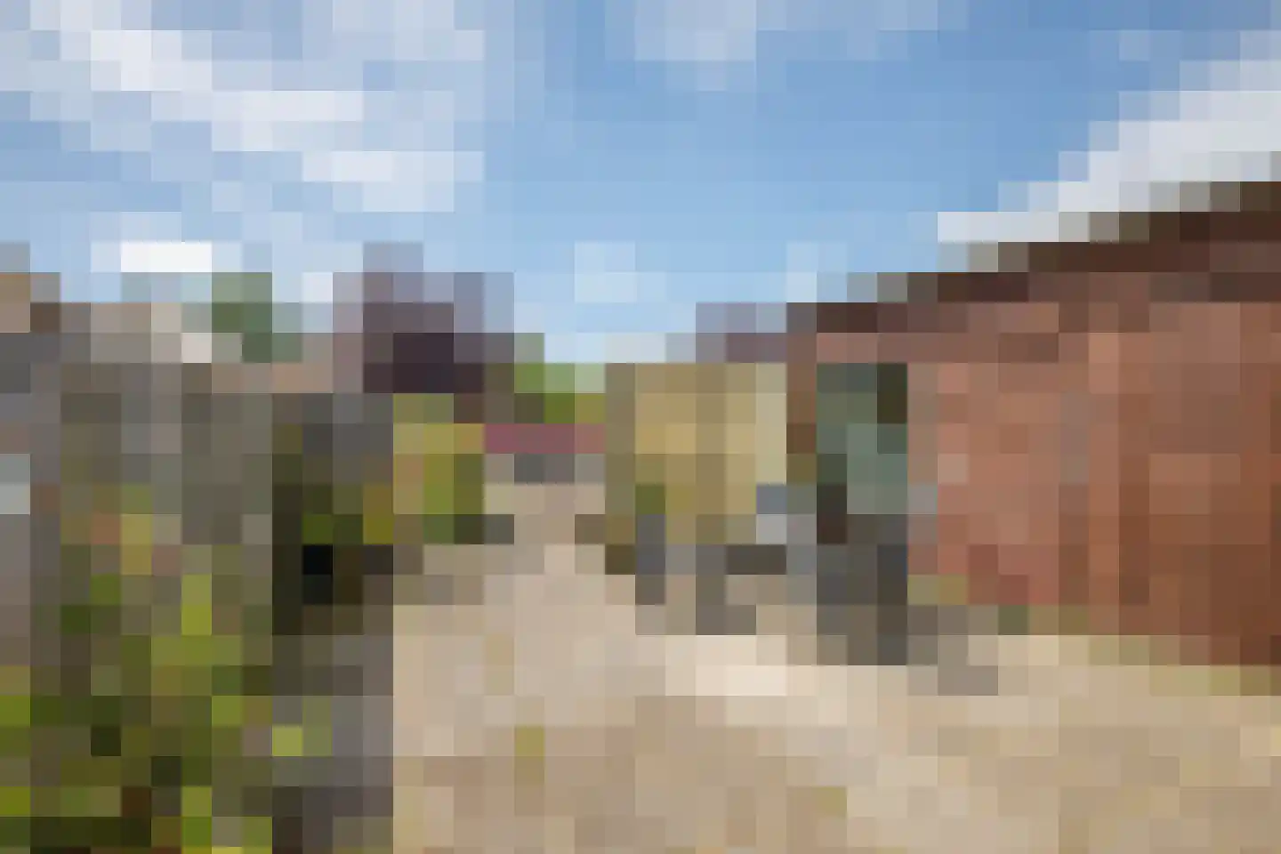 Tussenlanen 14 a Bergambacht thumbnail 36
