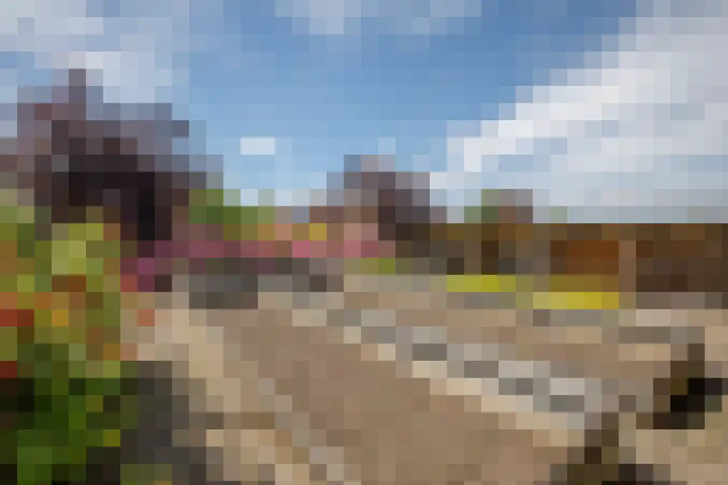 Tussenlanen 14 a Bergambacht thumbnail 37