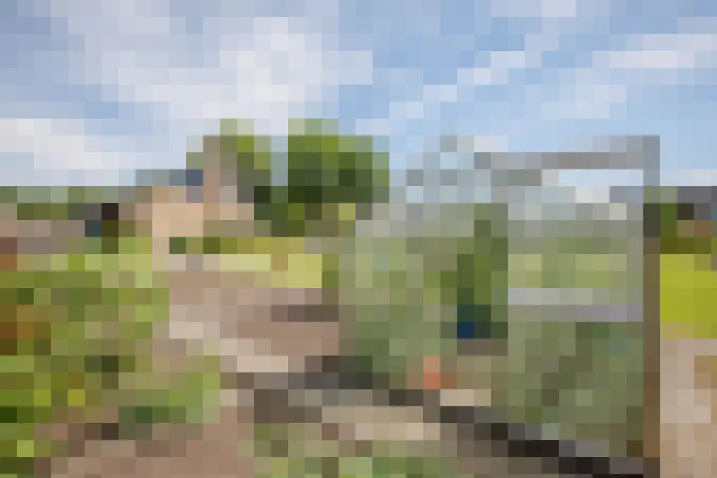 Tussenlanen 14 a Bergambacht thumbnail 39