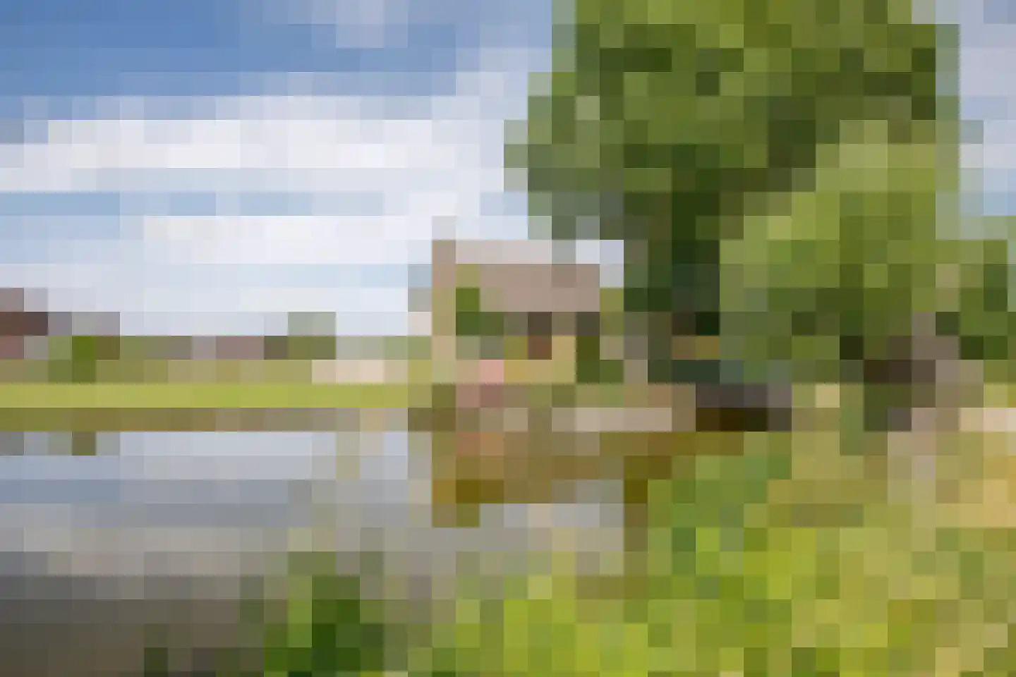 Tussenlanen 14 a Bergambacht thumbnail 42