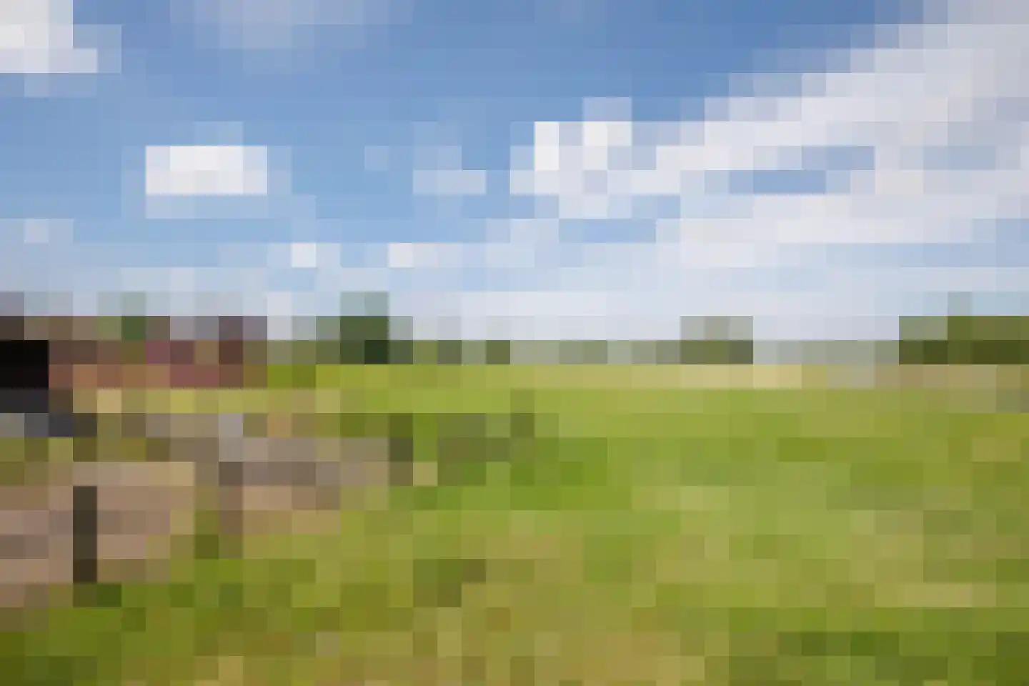 Tussenlanen 14 a Bergambacht thumbnail 43